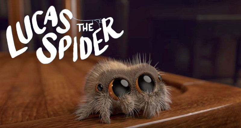 แนะนำช่องยูทูบ Lucas the Spider มีแค่คลิปแมงมุม 8 อัน คนกดซับ 2 ล้าน!! ห๊ะ?!